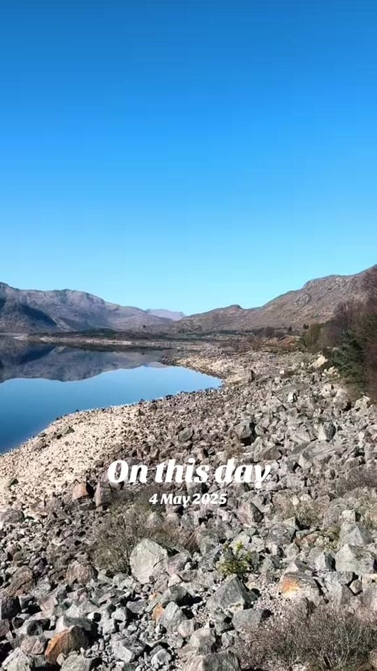 Post 6 by WeeExploringFamily on TikTok (video)