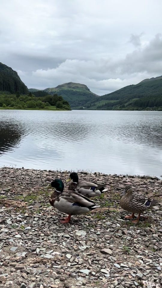 Post 4 by WeeExploringFamily on TikTok (video)