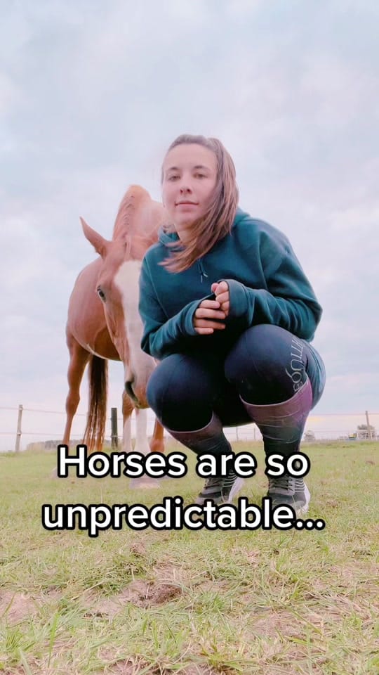 Post 9 by Chloe|| Equestrian🐴 on TikTok (video)