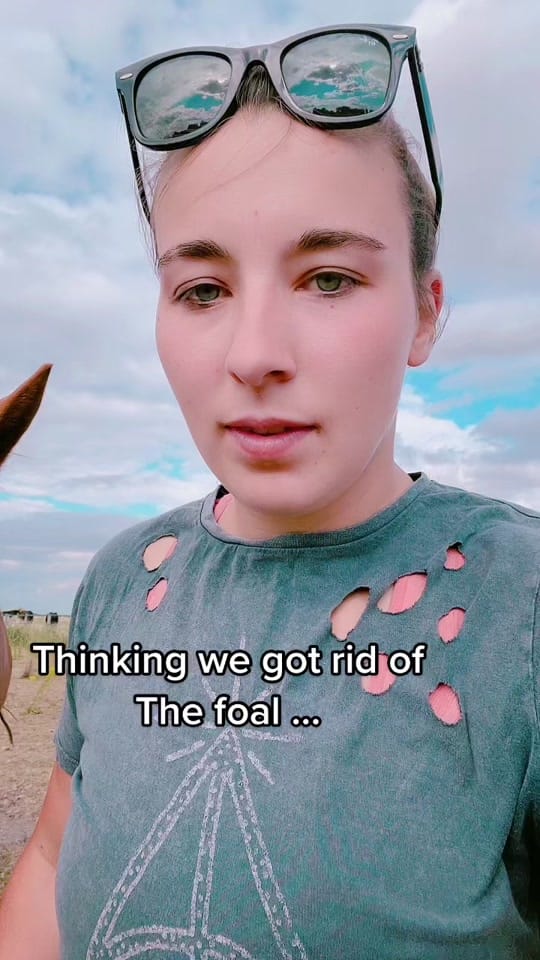 Post 10 by Chloe|| Equestrian🐴 on TikTok (video)