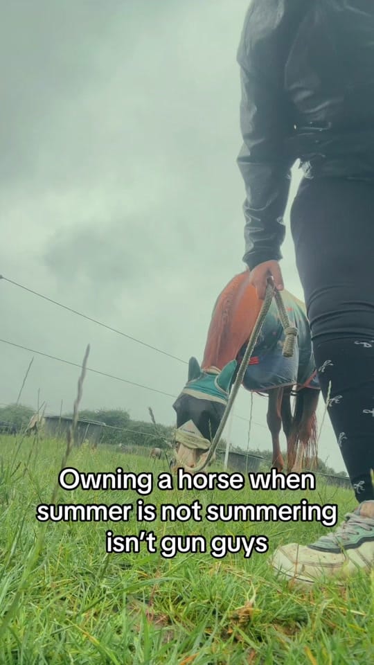 Post 1 by Chloe|| Equestrian🐴 on TikTok (video)