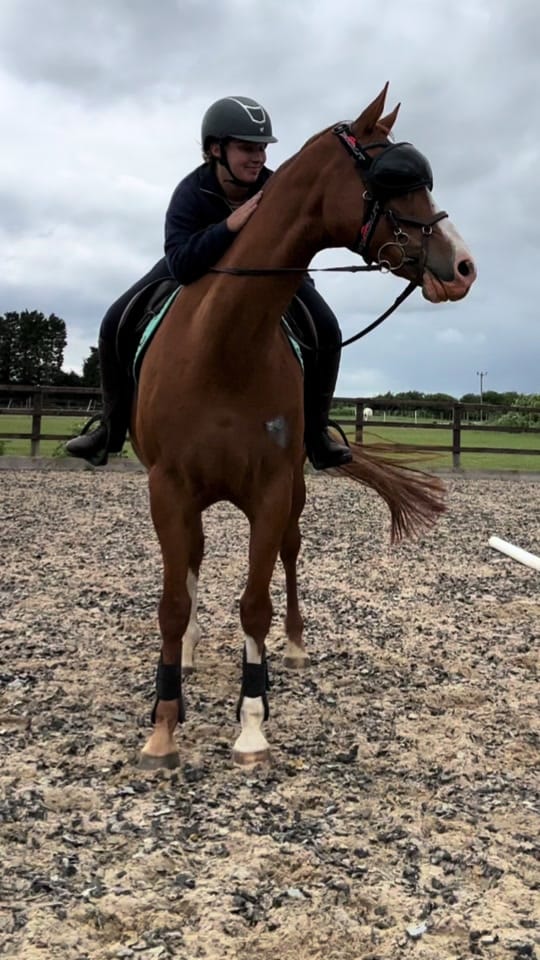 Post 3 by Chloe|| Equestrian🐴 on TikTok (video)