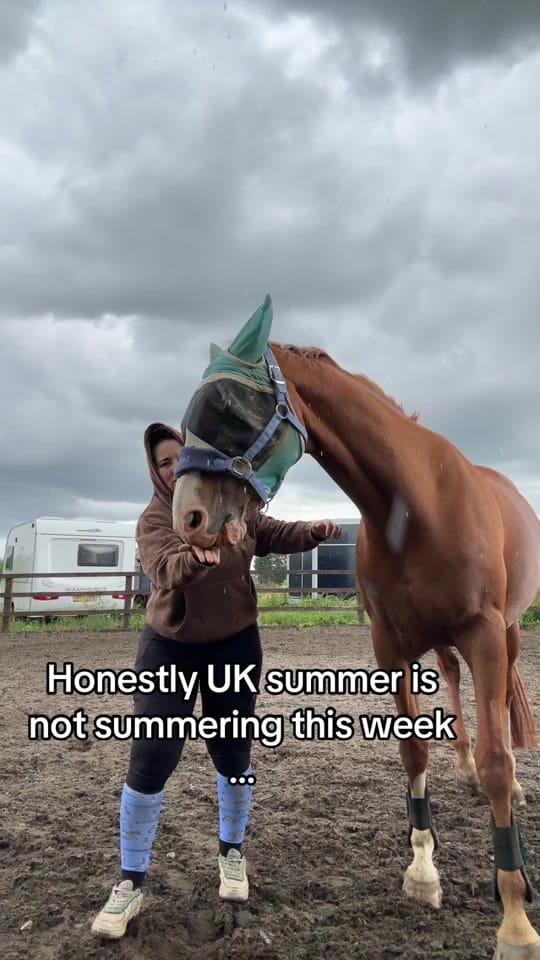 Post 2 by Chloe|| Equestrian🐴 on TikTok (video)