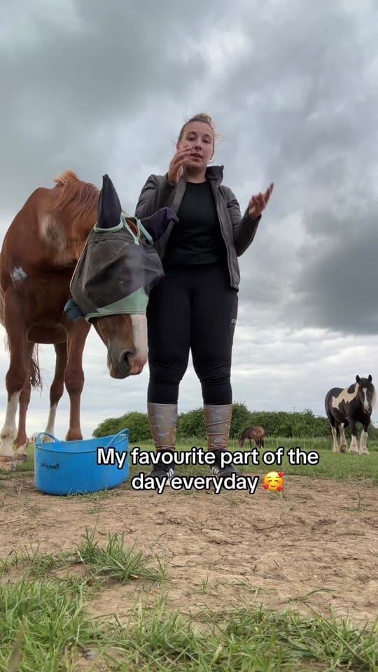 Post 5 by Chloe|| Equestrian🐴 on TikTok (video)