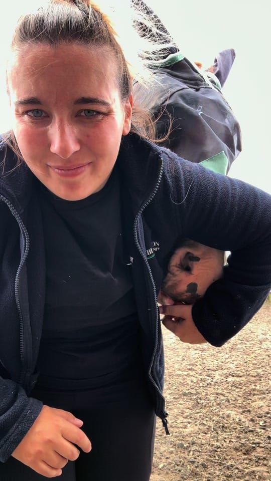 Post 7 by Chloe|| Equestrian🐴 on TikTok (video)