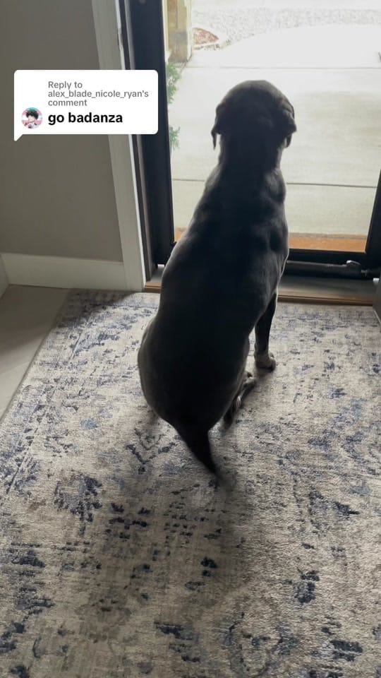 Post 6 by G Hees on TikTok (video)