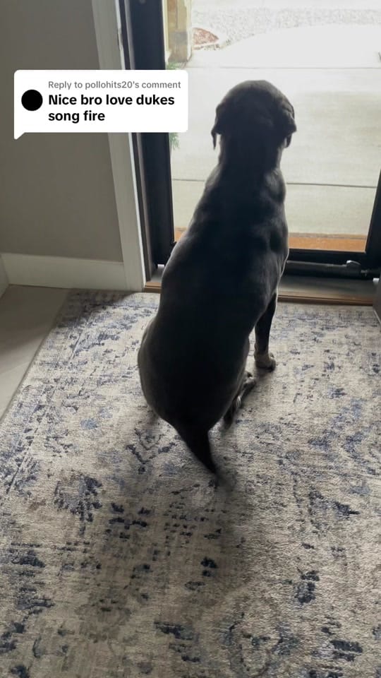 Post 7 by G Hees on TikTok (video)