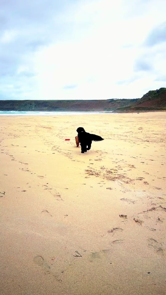 Post 5 by Poppy🖤 & Mable🤎 🐾 on TikTok (video)