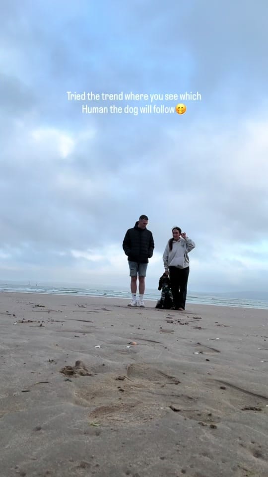 Post 4 by Otto the Cocker | UGC Creator on TikTok (video)