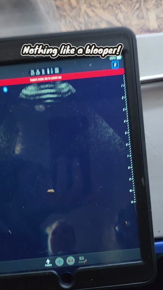 Post 7 by Absinthe Reptiles on TikTok (video)