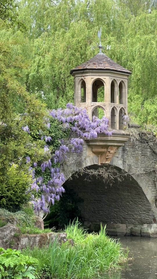 Post 4 by Basia on TikTok (video)