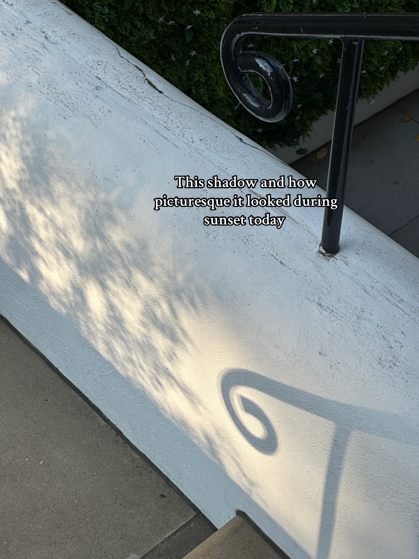 Post 2 by Basia on TikTok (video)