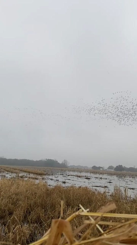 Post 1 by Brock Clay on TikTok (video)