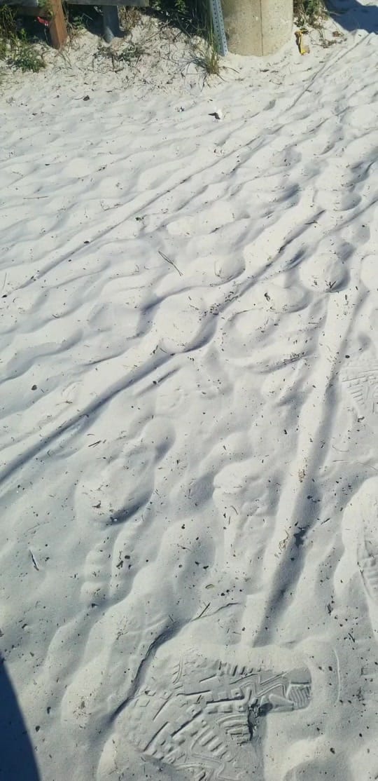 Post 7 by Jamaal Burcher on TikTok (video)