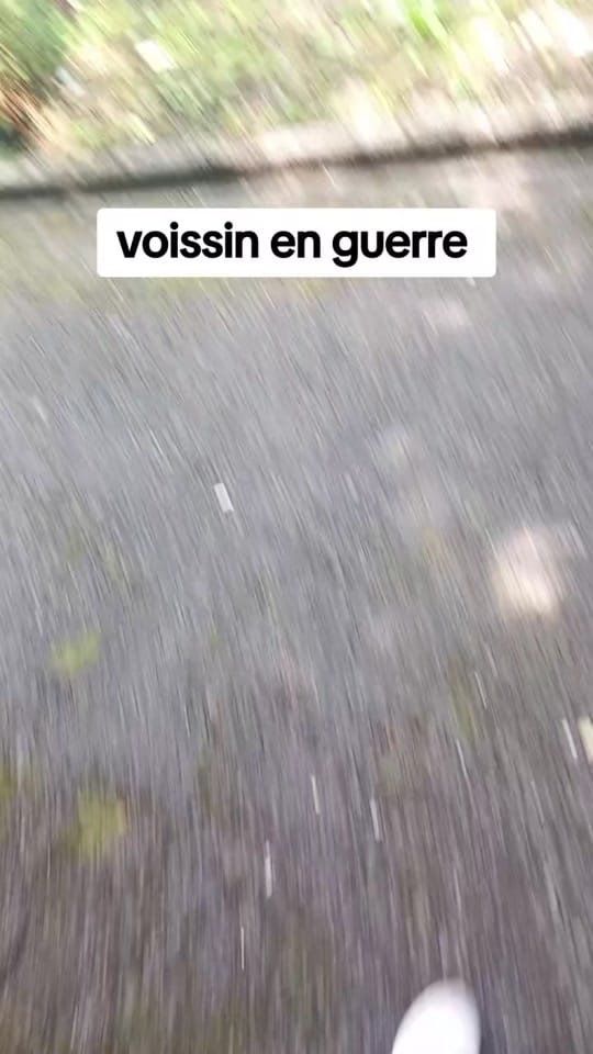 Post 4 by Le singe 🐵 on TikTok (video)