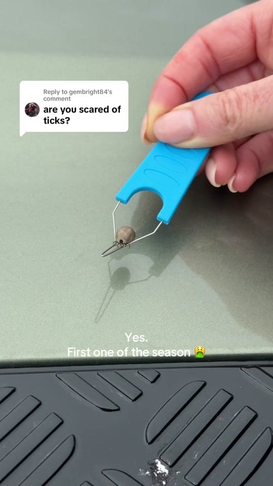 Post 2 by Rozannapurcell on TikTok (video)
