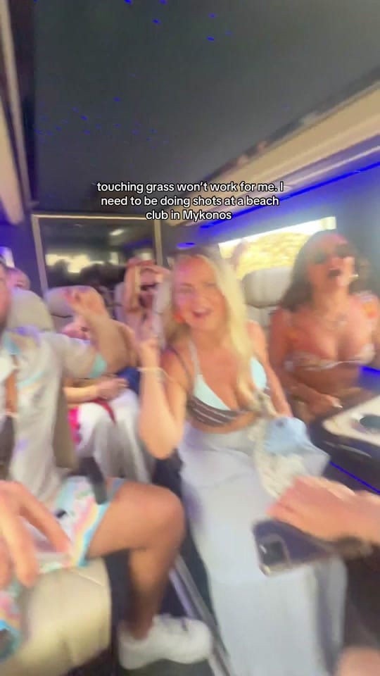 Post 6 by birkbites on TikTok (video)