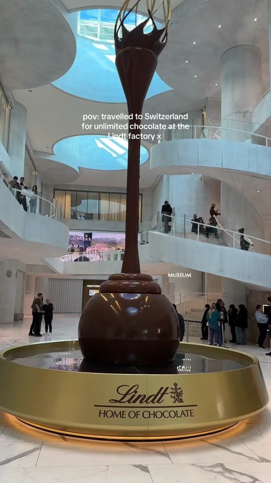 Post 8 by birkbites on TikTok (video)