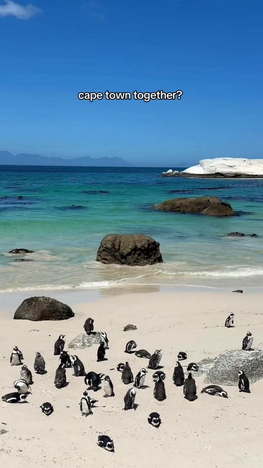 Post 3 by lois | travel + hotel creator on TikTok (video)