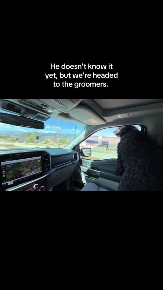 Post 2 by Andrew Weber on TikTok (video)