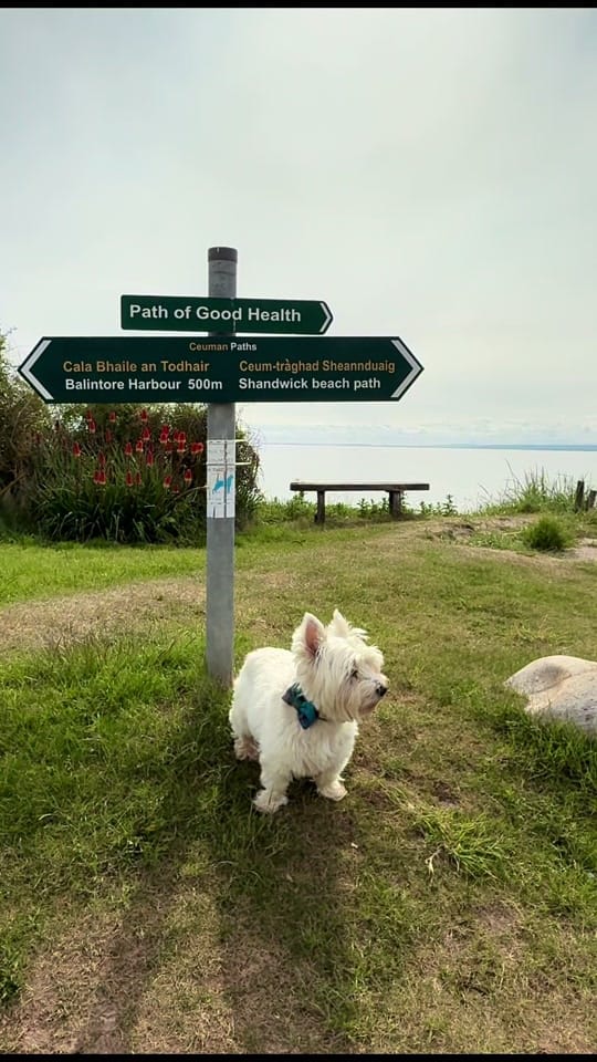 Post 5 by Scotland Travel / Sam on TikTok (video)
