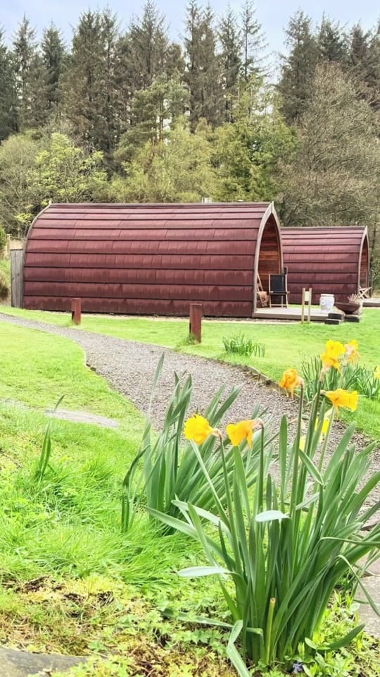 Post 7 by Scotland Travel / Sam on TikTok (video)
