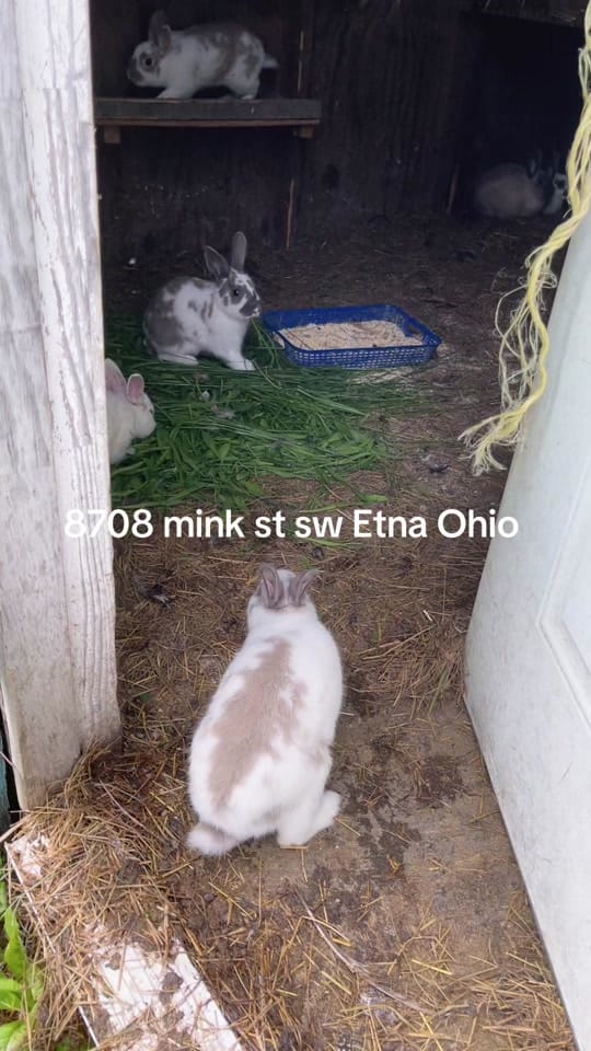 Post 5 by Hari powdyel on TikTok (video)