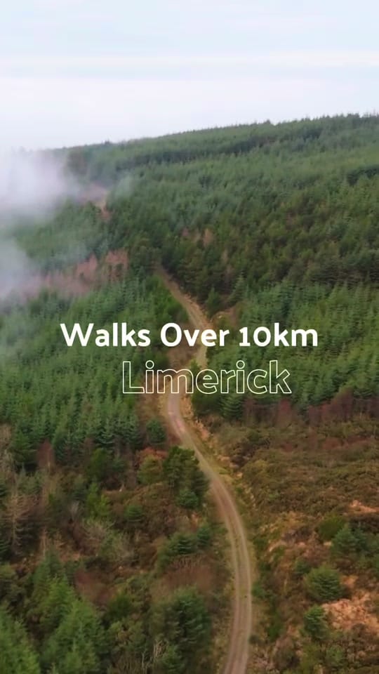 Post 9 by Limerick.ie on TikTok (video)