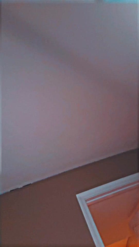 Post 1 by DJ the DJ MI on TikTok (video)