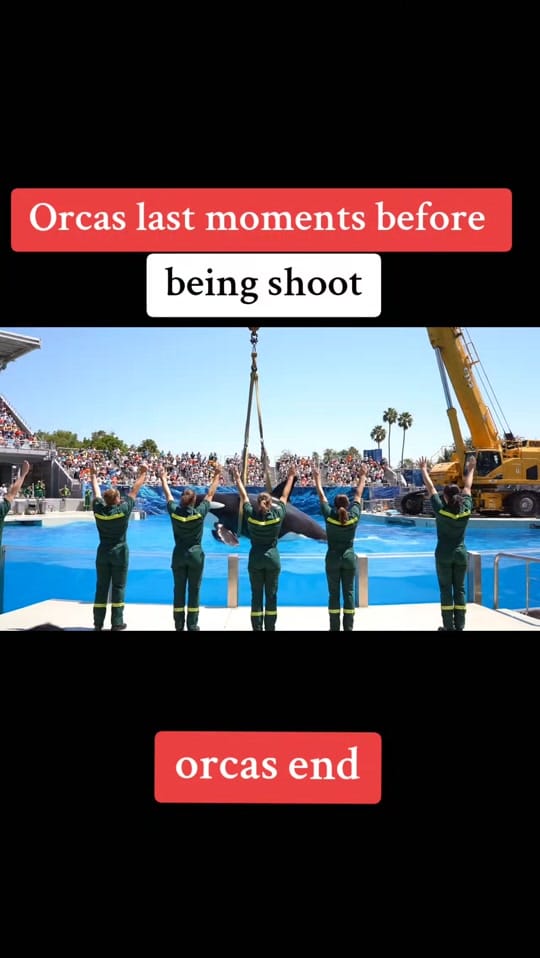Post 10 by news usa on TikTok (video)