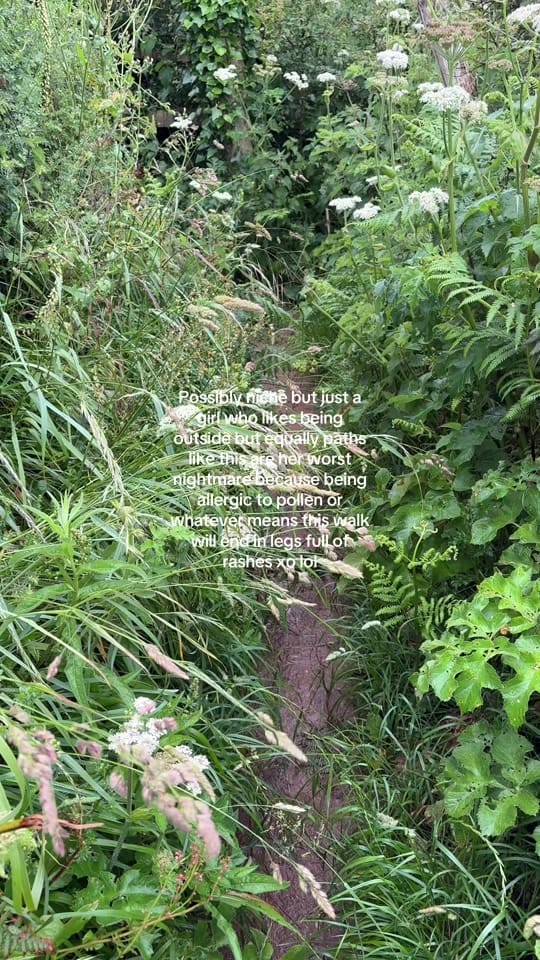 Post 5 by Lauren on TikTok (video)