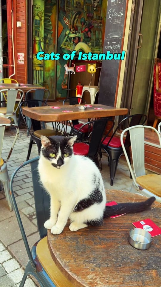 Post 7 by Travel with Style on TikTok (video)