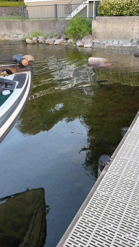 Post 6 by fishinfix on TikTok (video)