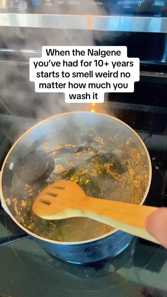 Post 7 by malibuhank on TikTok (video)