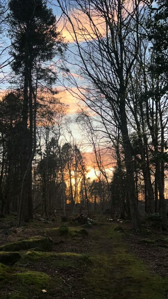 Post 5 by Lyla Munro on TikTok (video)