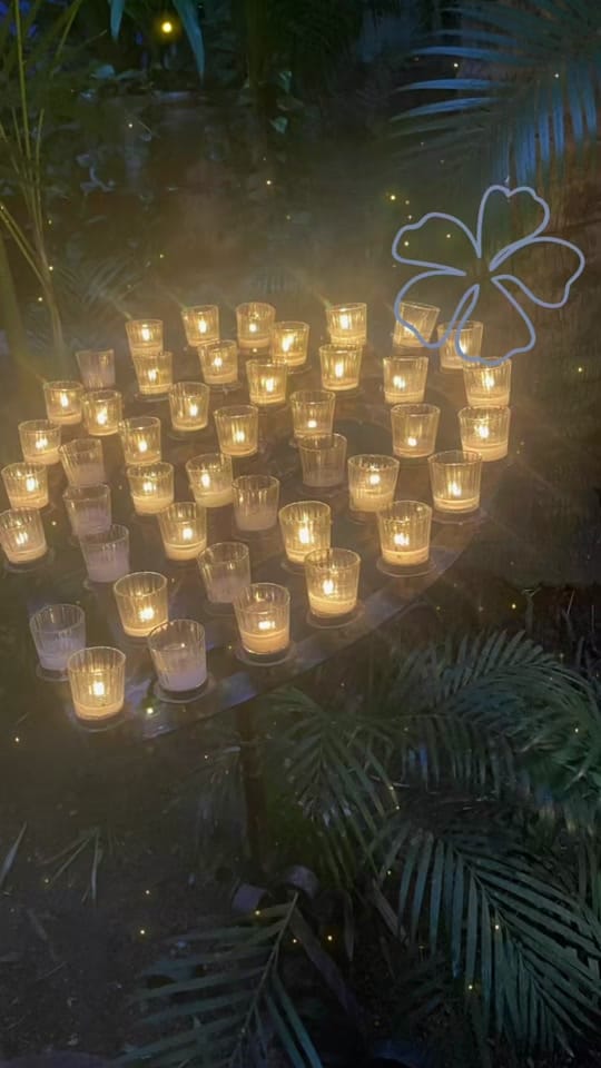 Post 8 by itsmejilly on TikTok (video)