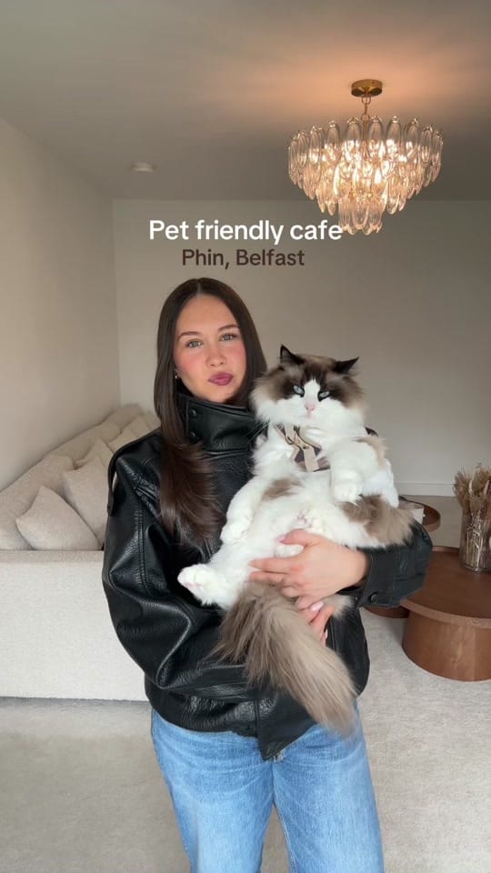 Post 4 by Apollo & Athena on TikTok (video)