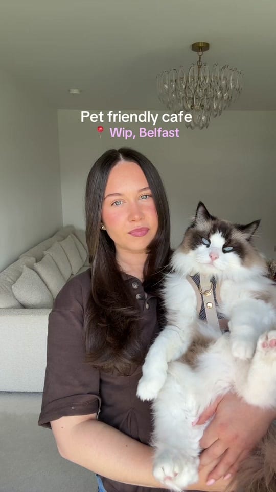 Post 5 by Apollo & Athena on TikTok (video)
