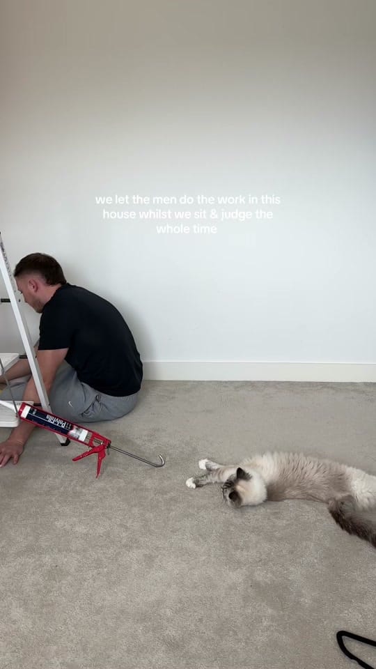 Post 2 by Apollo & Athena on TikTok (video)