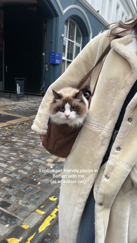 Post 8 by Apollo & Athena on TikTok (video)