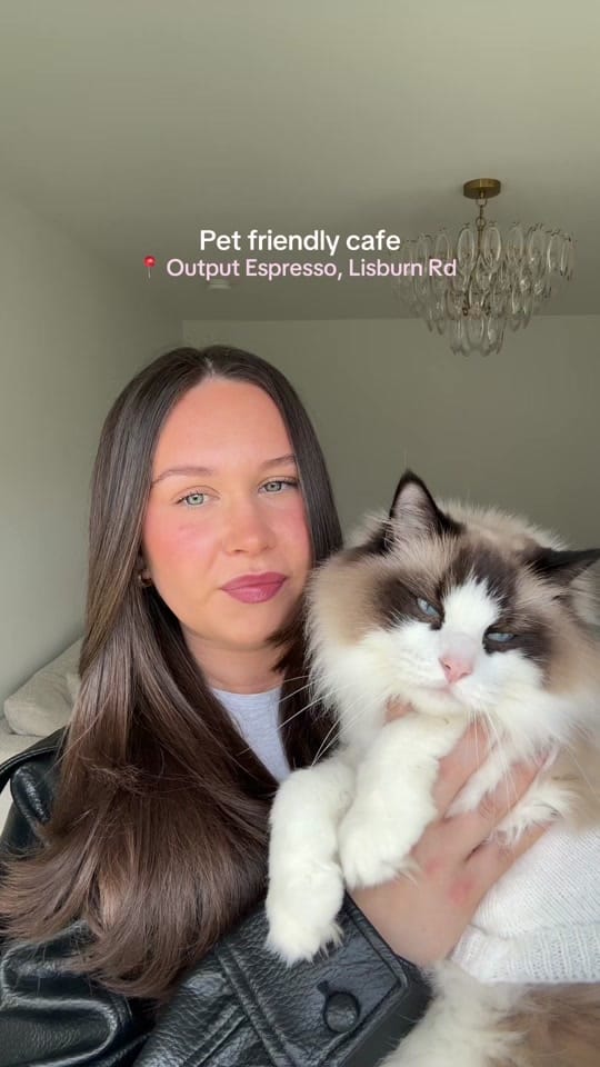 Post 7 by Apollo & Athena on TikTok (video)