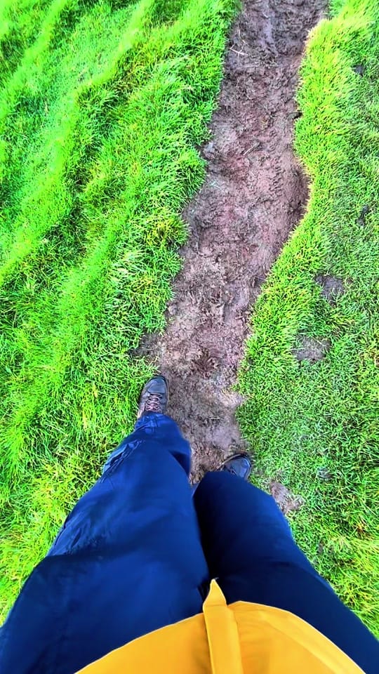 Post 5 by Edouard Paquet on TikTok (video)