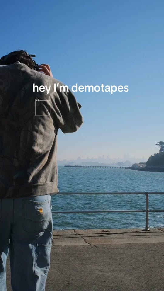 Post 9 by demotapes 🪴 on TikTok (video)