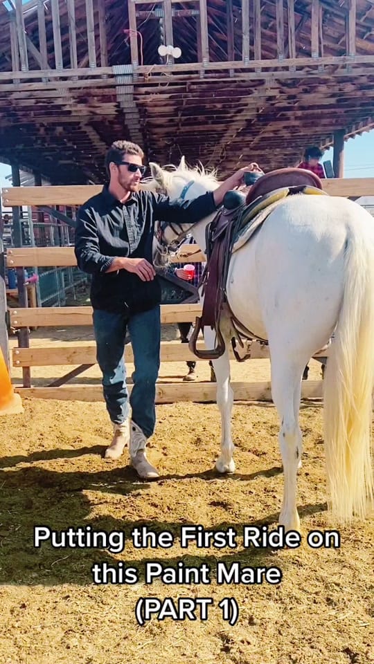 Post 9 by BPC on TikTok (video)
