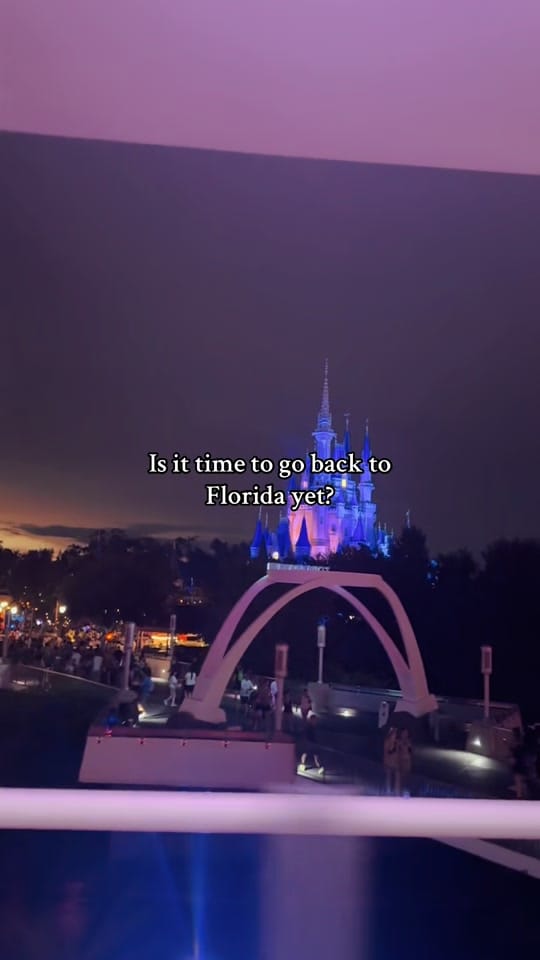 Post 9 by Laura ✨ on TikTok (video)