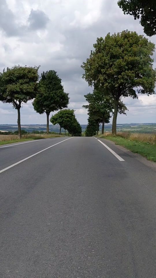 Post 8 by tuktuktraveller on TikTok (video)
