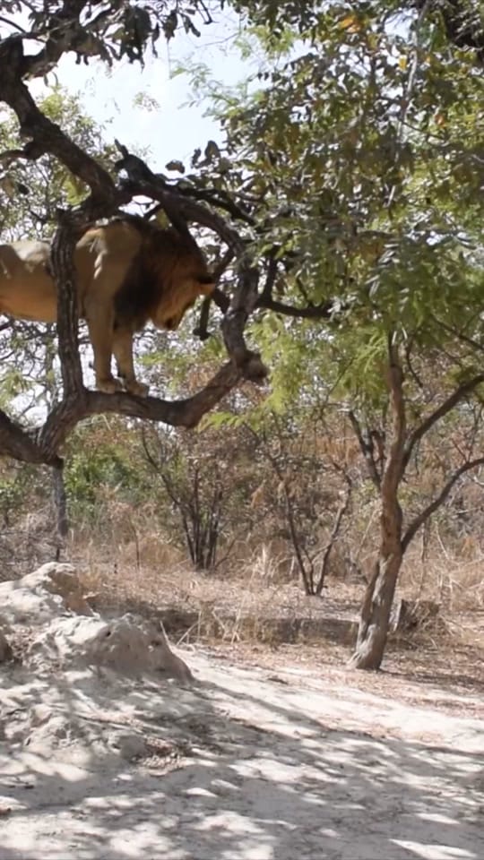 Post 7 by Travelling Tom 🌍 on TikTok (video)