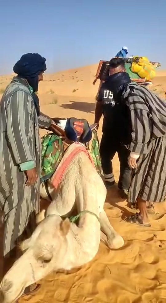 Post 2 by Travelling Tom 🌍 on TikTok (video)