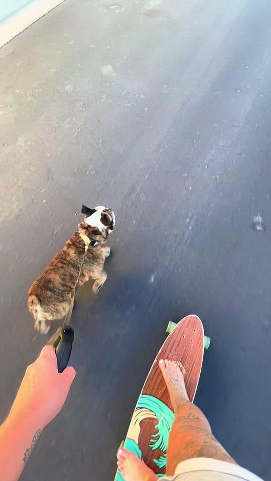 Post 3 by tay_ash_ on TikTok (video)