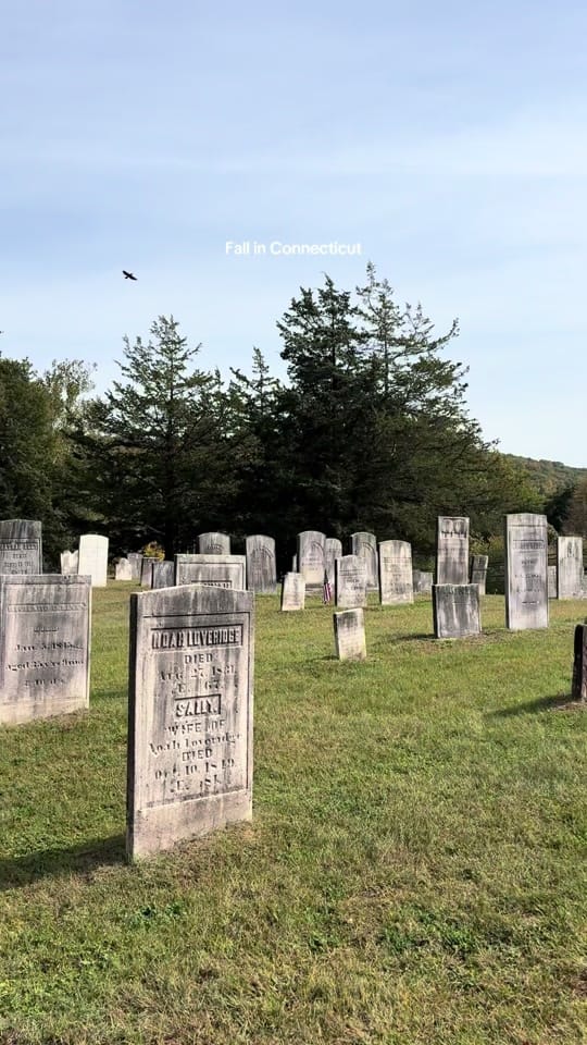 Post 6 by Brianna McDonnell on TikTok (video)